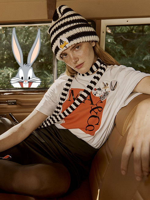 6 LOONEY TUNES BOX DESKTOP Maxandco