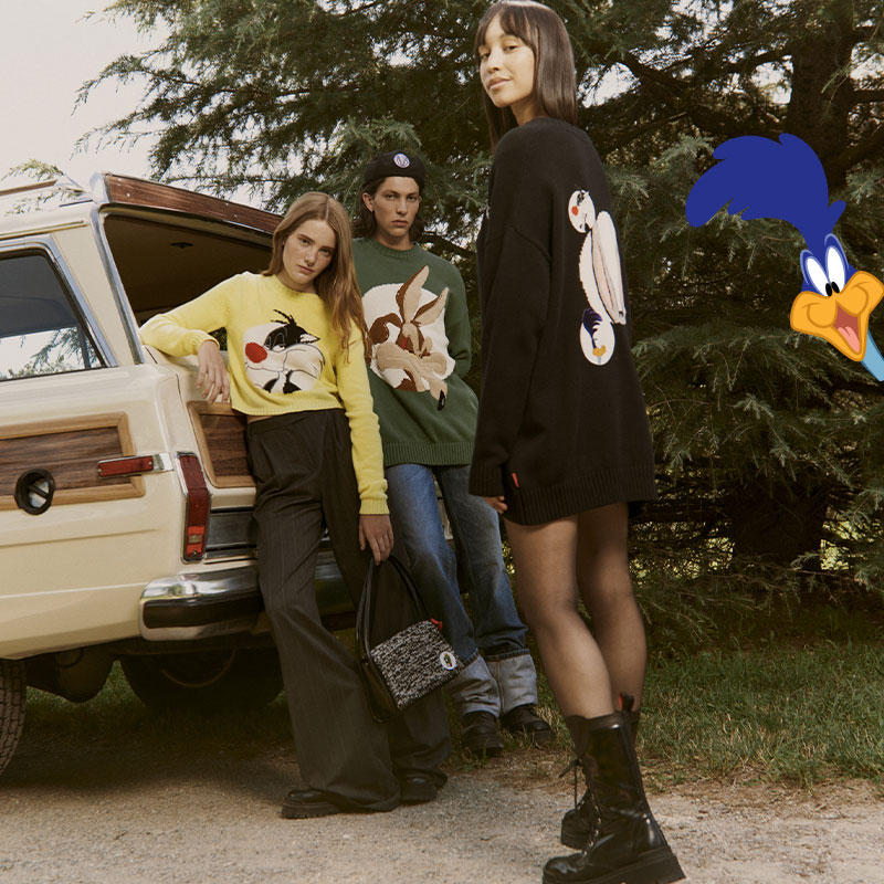 4 COVER LOONEY TUNES DESKTOP Maxandco